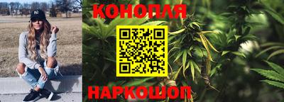 дмт Можайск