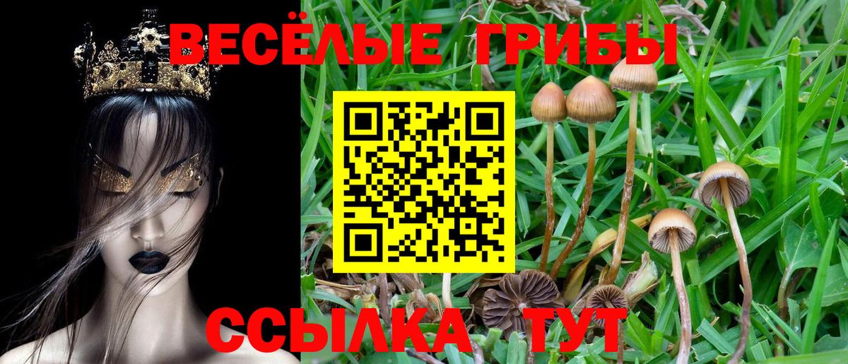 Псилоцибиновые грибы мухоморы Егорьевск
