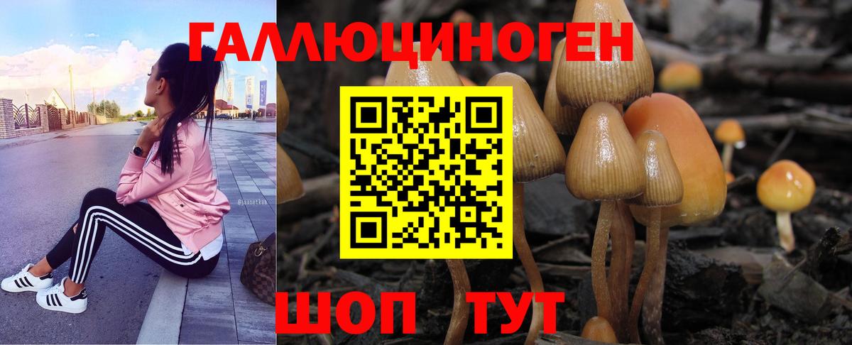 Егорьевск  Галлюциногенные грибы ЛСД  Вход с VPN  Галлюциногенные грибы Magic Shrooms 