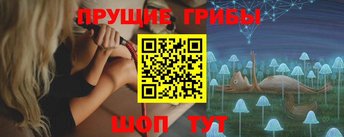 Псилоцибиновые грибы GOLDEN TEACHER Егорьевск