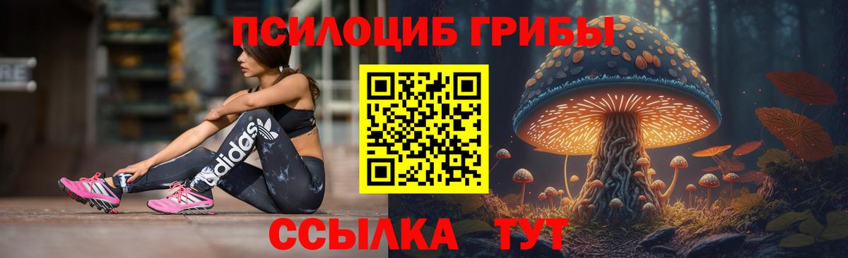 Псилоцибиновые грибы MAGIC MUSHROOMS  Егорьевск 